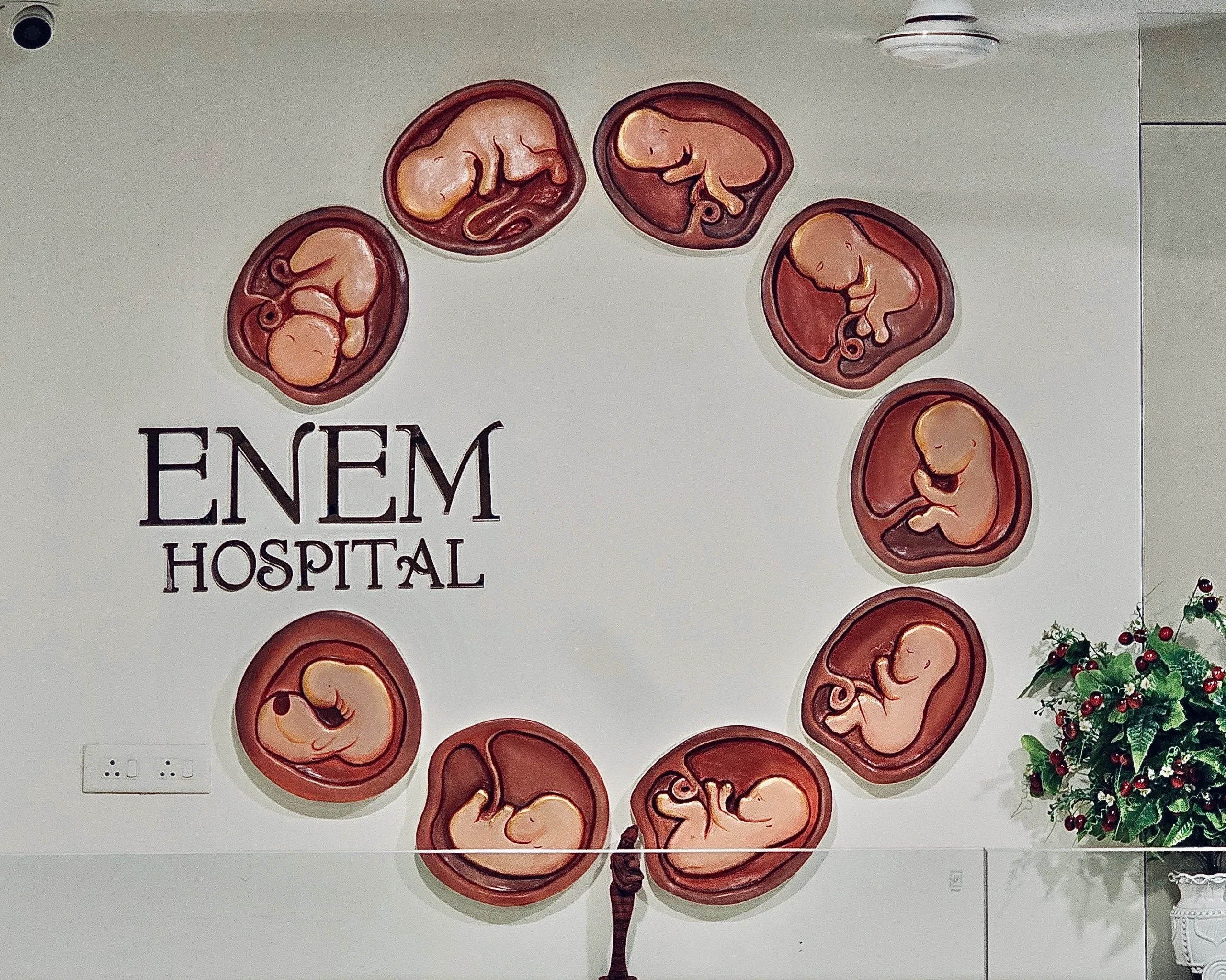 mural-enem-hospital-surat-after mural-enem-hospital-surat-after